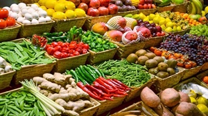 ارسال محصولات باغی و یخچالی از بندر شهیدبهشتی به هندوستان فقط ظرف چهار روز